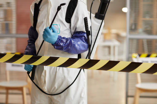 Professional Odor Removal technician working in Flagtown, NJ