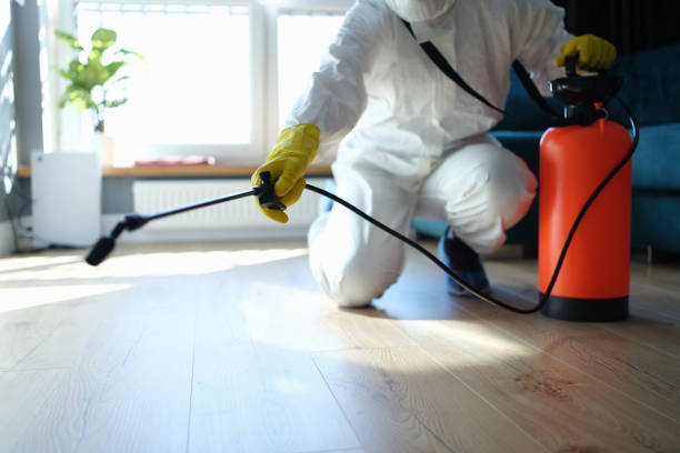 Reliable Odor Removal contractor in Flagtown, NJ by Trauma Clean Pros